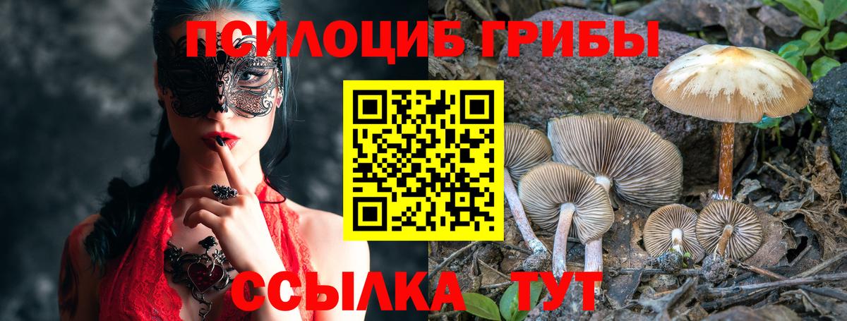 Псилоцибиновые грибы Psilocybine cubensis Рязань