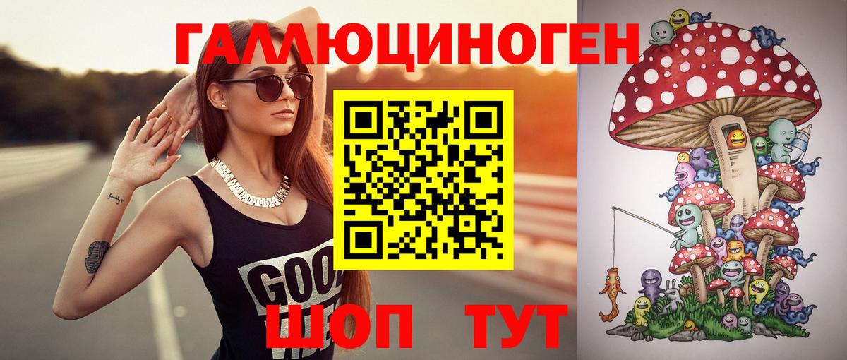 Псилоцибиновые грибы Cubensis  Псилоцибиновые грибы прущие грибы  наркошоп  Рязань 