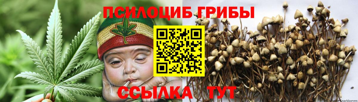 Галлюциногенные грибы мухоморы  Вход с VPN  дарнет шоп  Галлюциногенные грибы GOLDEN TEACHER  Рязань 
